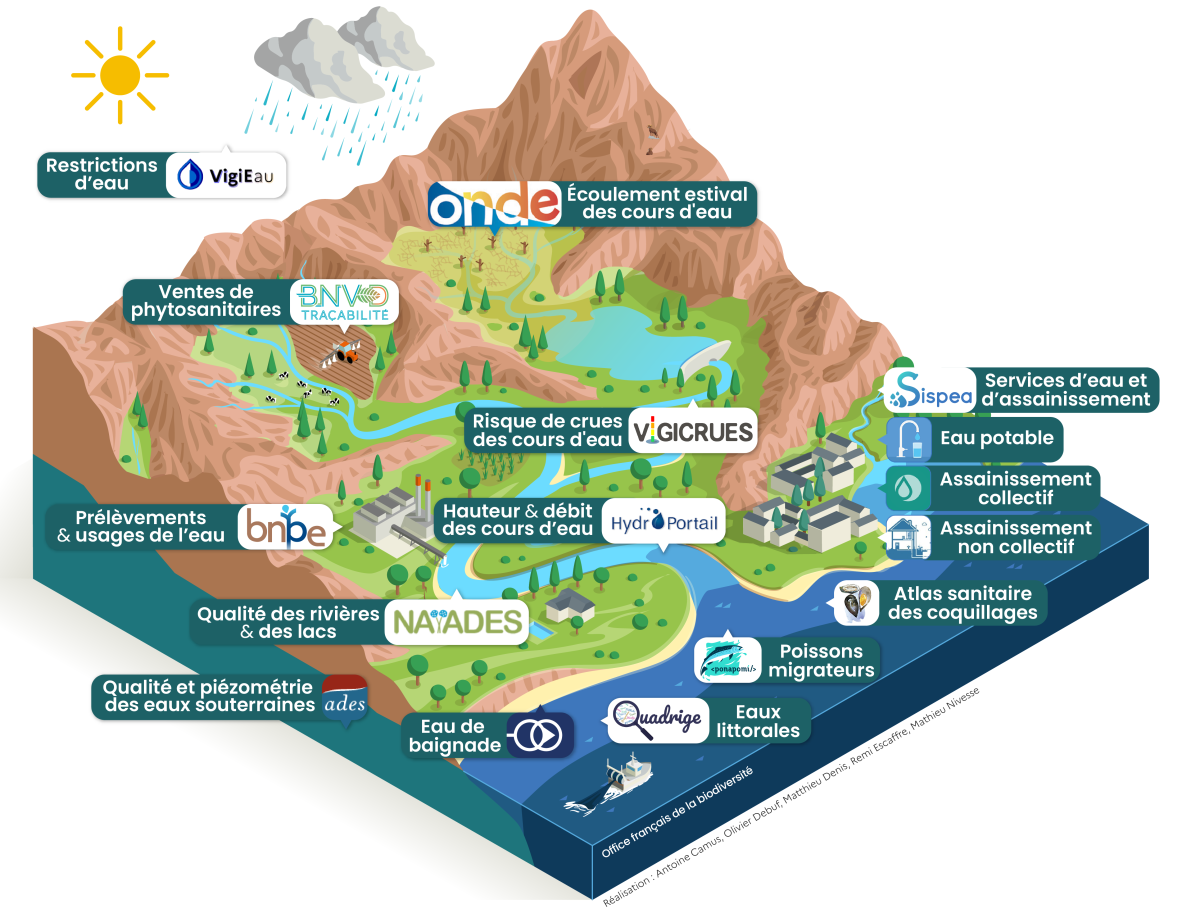 coupe donnees rbt 2025