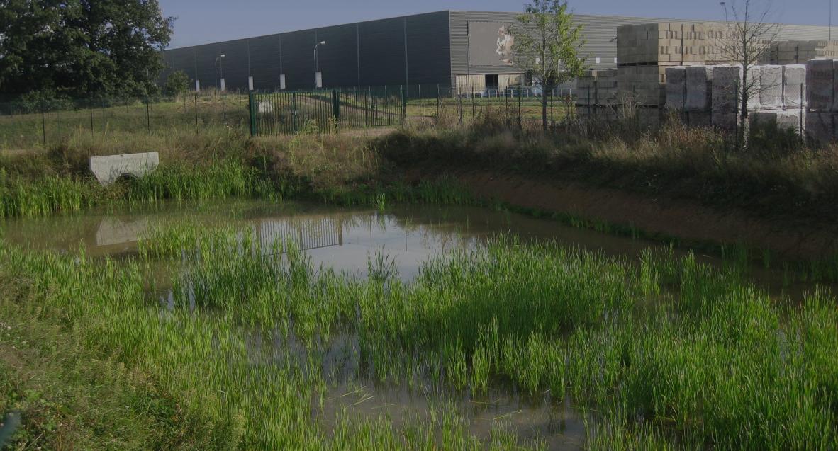 Bassin de rétention des eaux pluviales