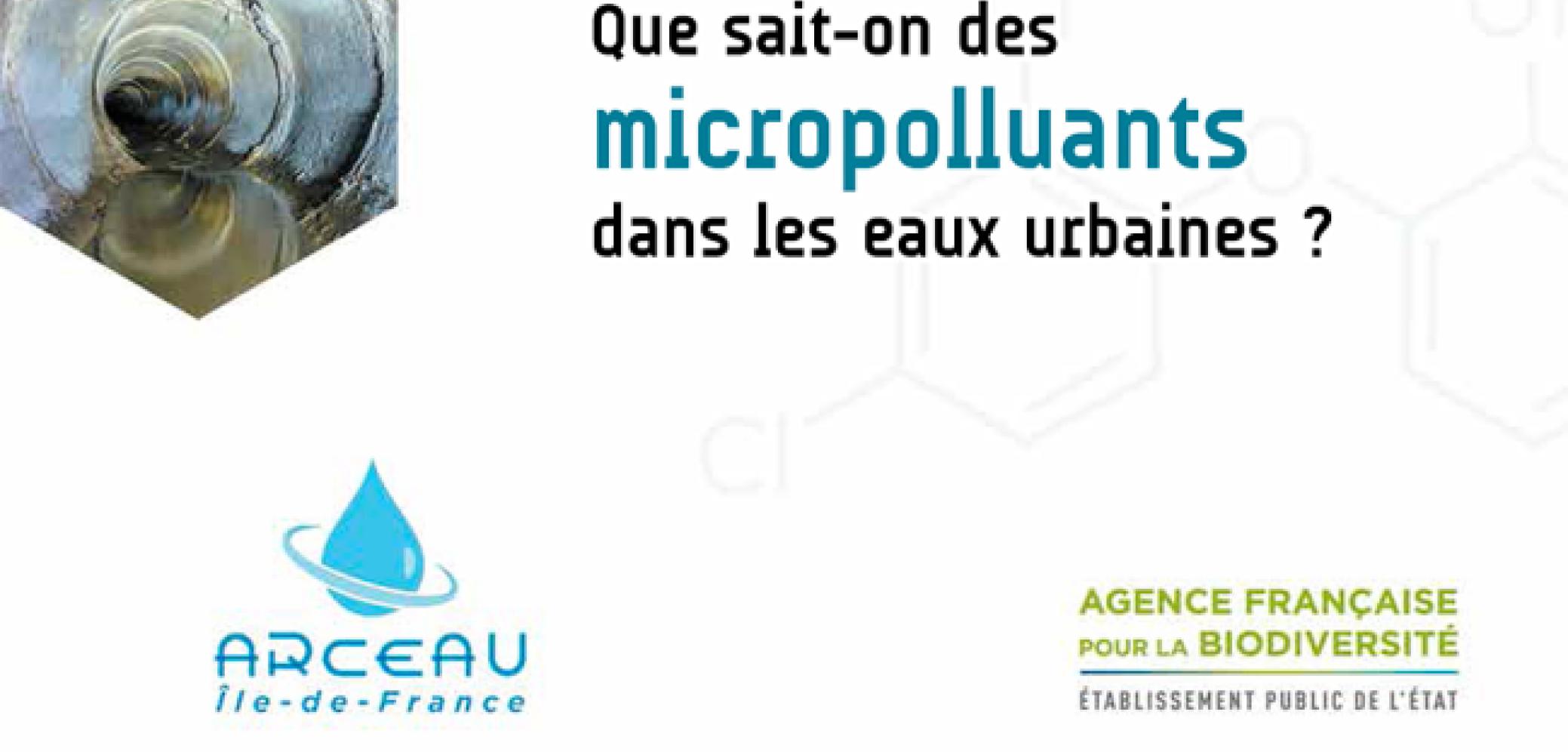 Ouvrage Que sait-on des micropolluants dans les eaux urbaines ? Arceau IdF / AFB, 2018
