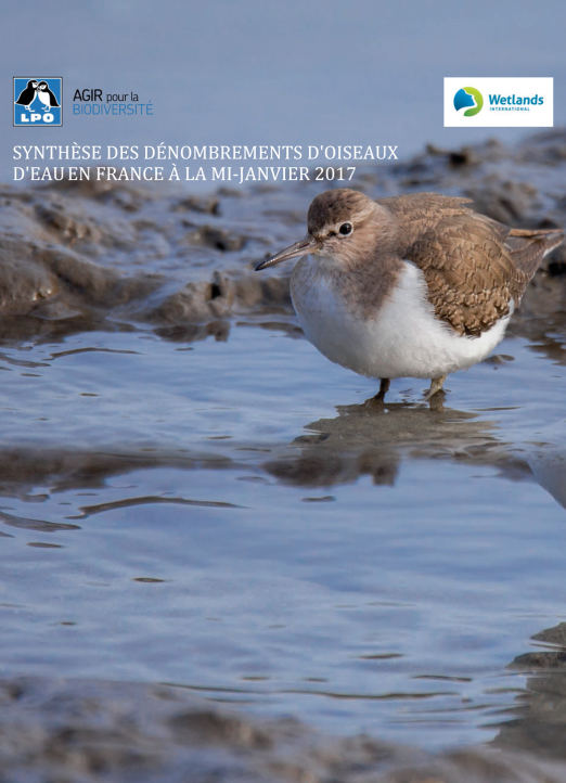 Synthèse des dénombrements d’oiseaux d’eau en France (données mi-janvier 2017)